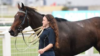 Amahni’s Girl to resume in town